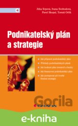 Podnikatelský plán a strategie