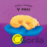 V noci