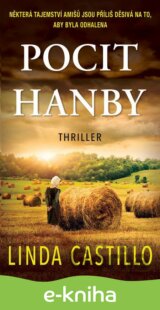 Pocit hanby