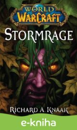 World of Warcraft: Stormrage