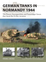 German Tanks in Normandy 1944