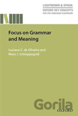 Focus on Grammar and Meaning