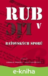 Rub a líc baťovských sporů