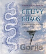 Citlivý chaos
