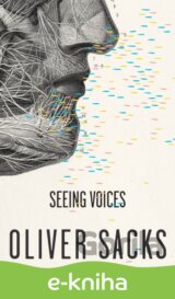 Seeing Voices