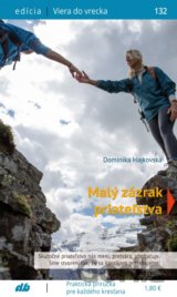 Malý zázrak priateľstva