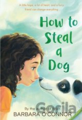 How to Steal a Dog