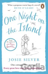 One Night on the Island