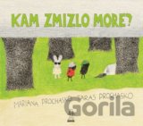 Kam zmizlo more?