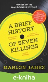 A Brief History of Seven Killings