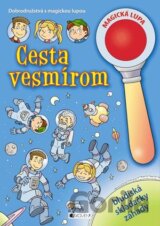 Cesta vermírom