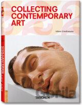 Collecting Contemporary Art