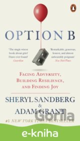 Option B