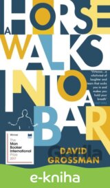 A Horse Walks into a Bar