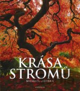 Krása stromů