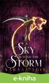 A Sky Beyond the Storm