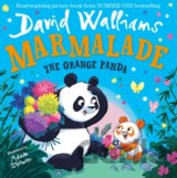 Marmalade - the Orange Panda