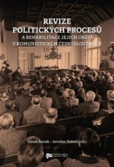 Revize politických procesů