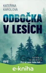 Odbočka v lesích