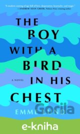 The Boy with a Bird in His Chest