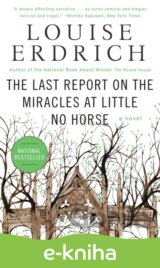 The Last Report on the Miracles at Little No Horse