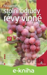 Pěstujeme stolní odrůdy révy vinné