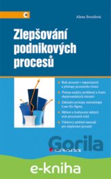 Zlepšování podnikových procesů