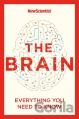 The Brain