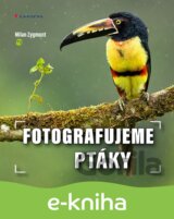 Fotografujeme ptáky
