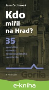 Kdo mířil na Hrad?