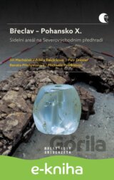 Břeclav – Pohansko X.  Sídelní areál na Severovýchodním předhradí