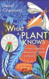 What a Plant Knows