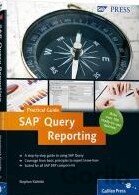SAP Query Reporting