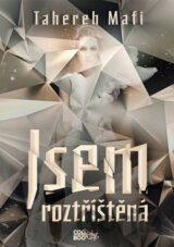 Jsem roztříštěná