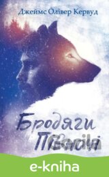 Brodjahy Pivnoči
