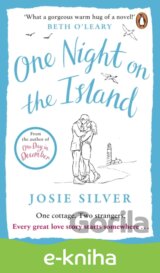One Night on the Island