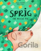Sprig the Rescue Pig