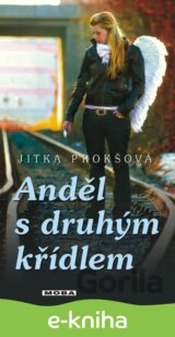 Anděl s druhým křídlem