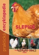 Slepice