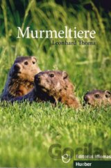 Murmeltiere B1