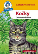 Kočky