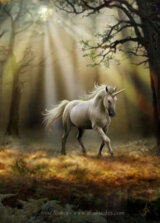 Glimpse of a Unicorn