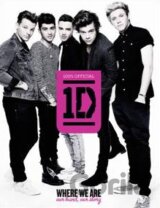 One Direction: Where We are