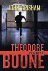 Theodore Boone: Obvinený