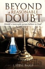 Beyond a Reasonable Doubt