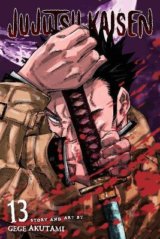 Jujutsu Kaisen 13