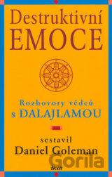 Destruktivní emoce