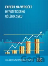 Expert na ušlý zisk, hypotetický zisk a újmu