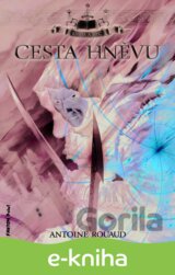 Cesta hněvu