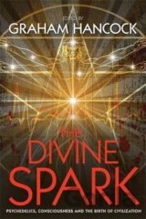 The Divine Spark